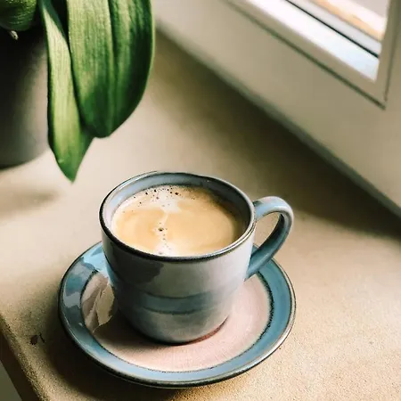 La Rose D'alsace Rosheim